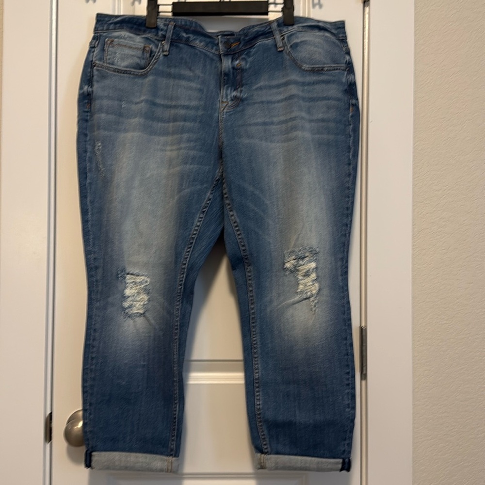 Vigoss The Thompson Tomboy jeans size 20
